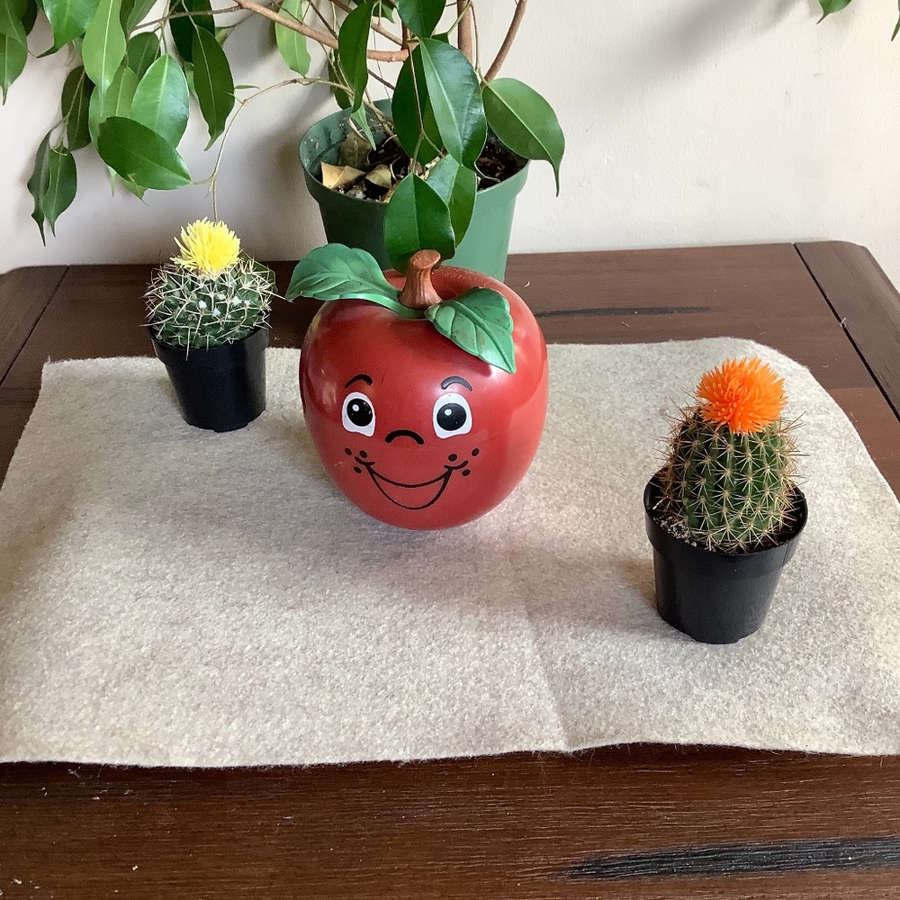 Fisher-Price HAPPY APPLE Vintage Toy 1972